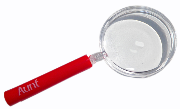 Aunt Magnifying Glass - Aunt Gifts - Holiday Gifts Mart